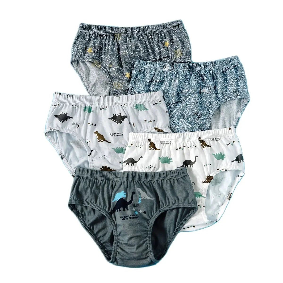 Pack de 5 calzoncillos infantiles de dinosaurios