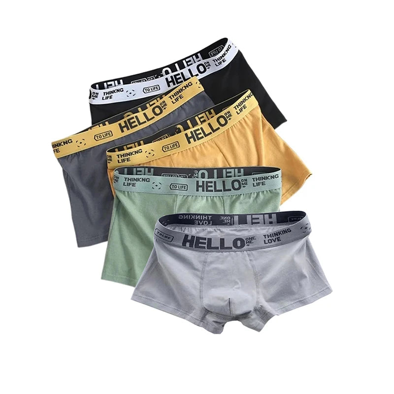 Pack de 5 calzoncillos bóxer para hombre