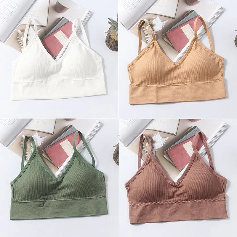 Pack de 4 sujetadores sin costuras de algodón