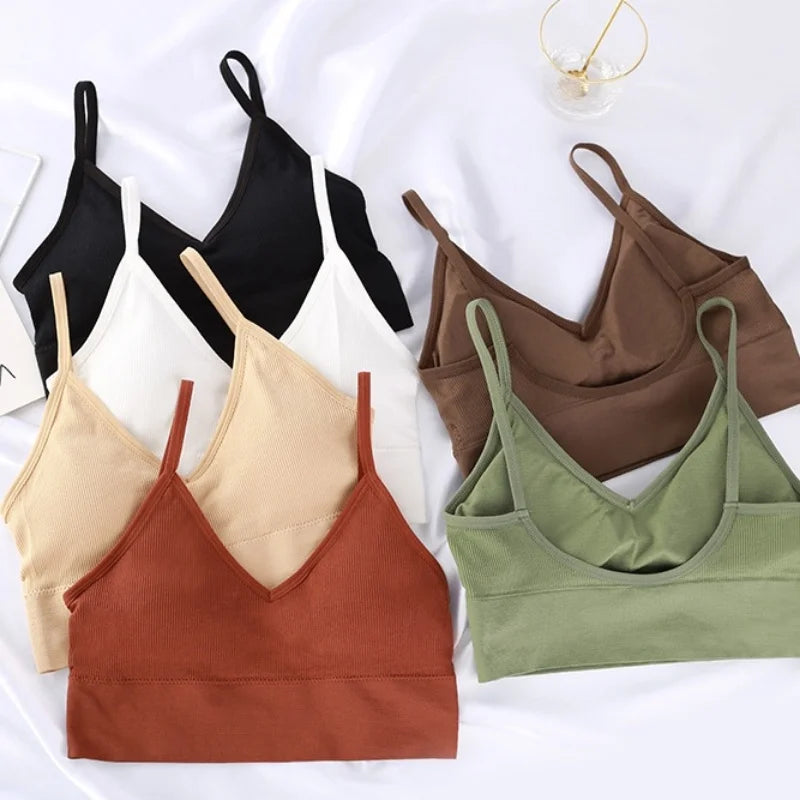 Pack de 4 sujetadores sin costuras de algodón